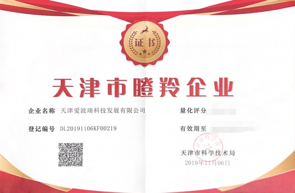 新百胜集团喜获瞪羚企业，，，，引发立异生长新动力